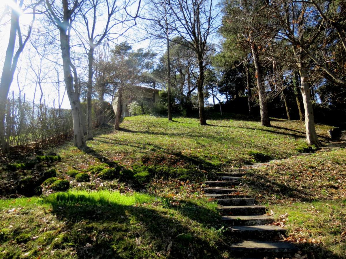 Penthouse - Villa Cardano Como Dış mekan fotoğraf